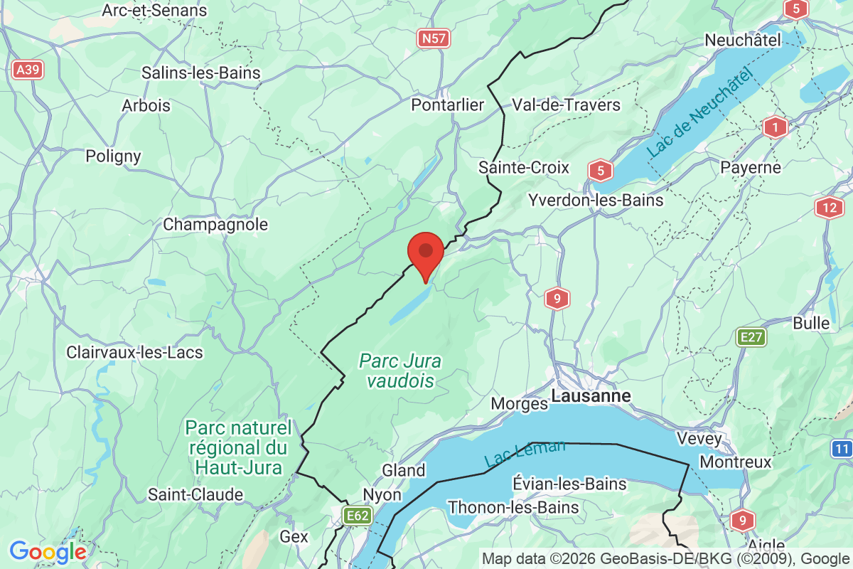 Prévisualisation de la carte