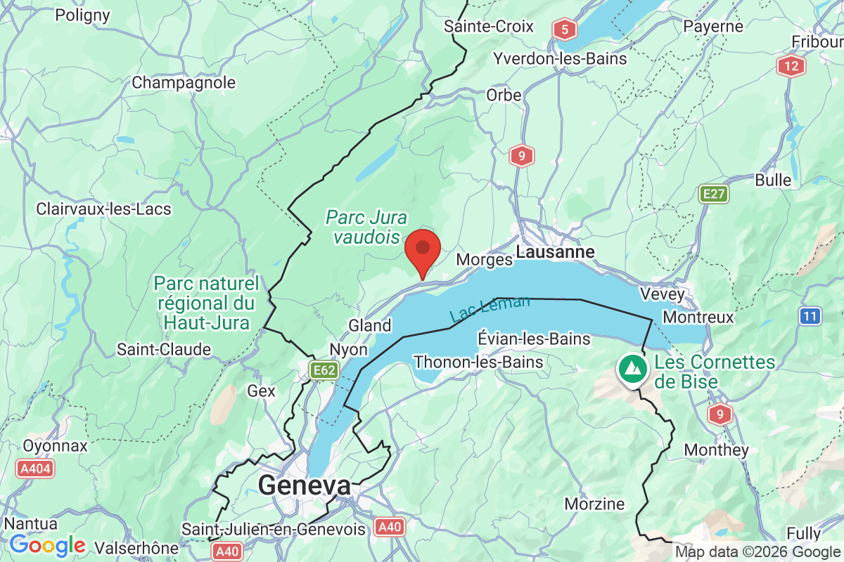 Prévisualisation de la carte
