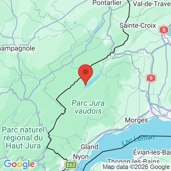Prévisualisation de la carte