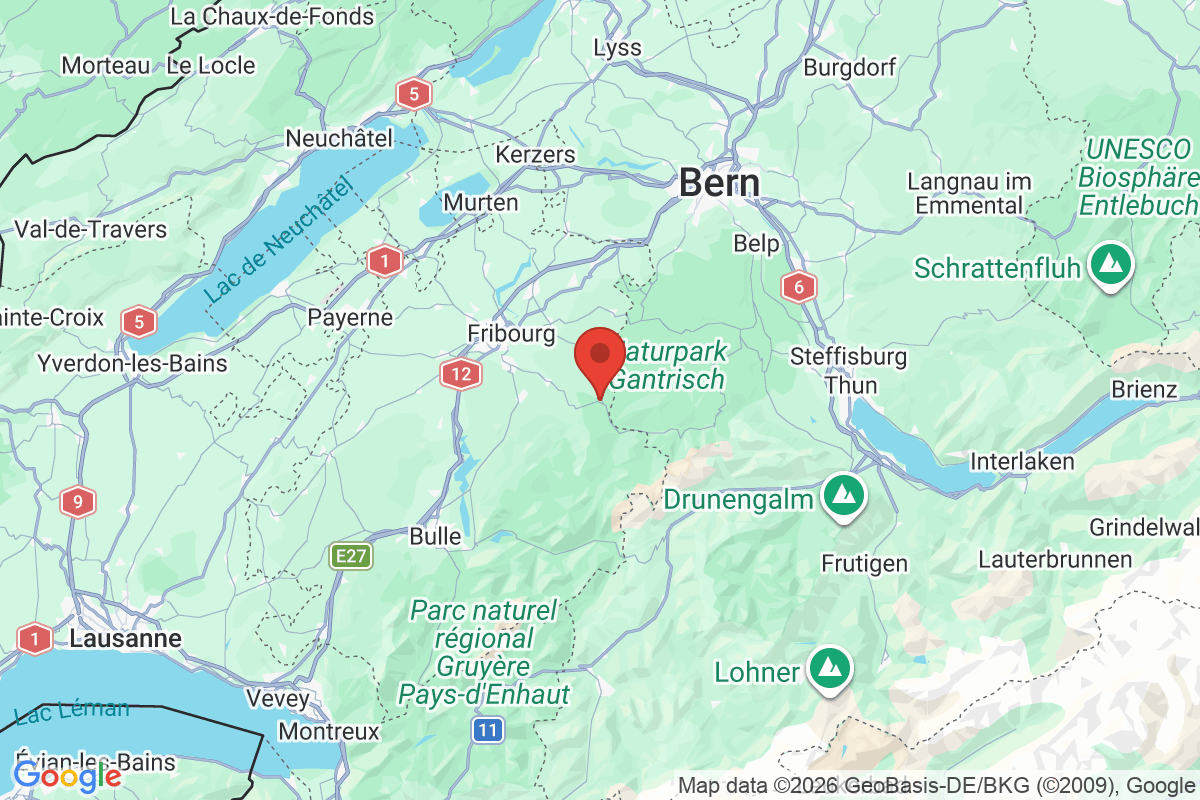 Prévisualisation de la carte