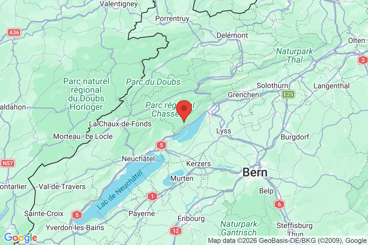 Prévisualisation de la carte