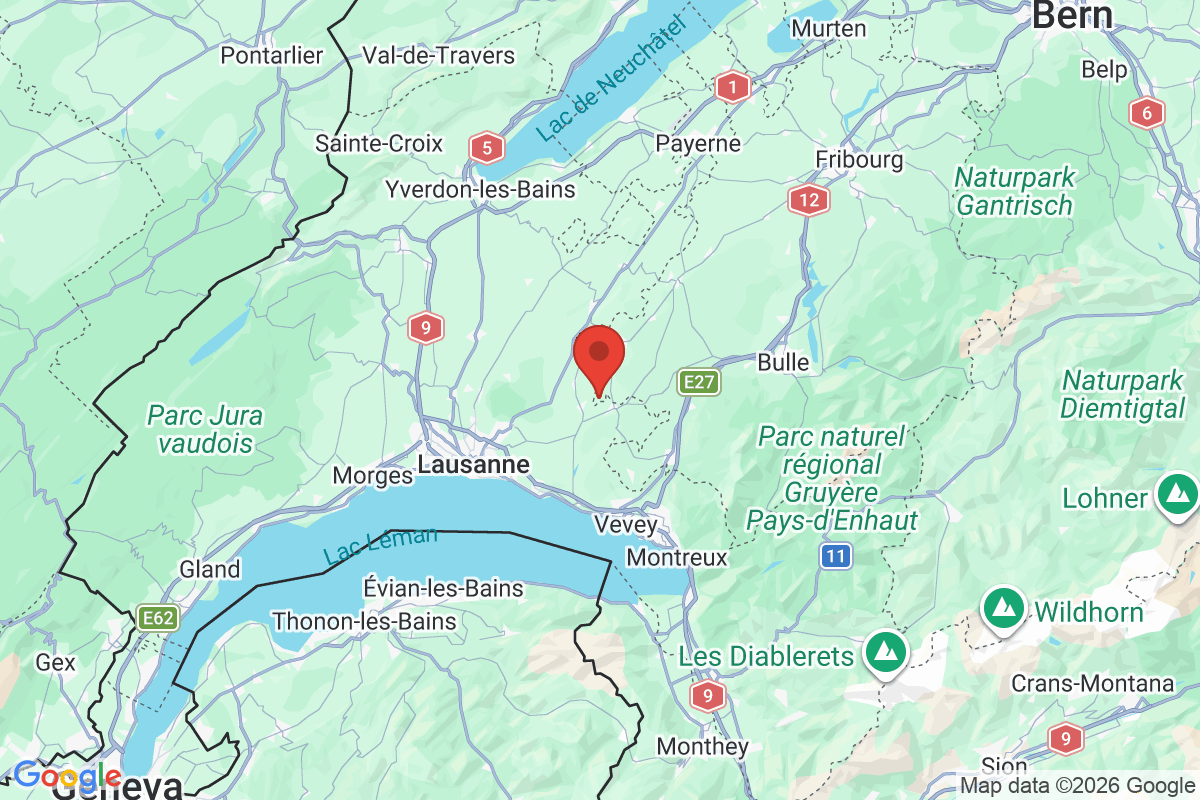 Prévisualisation de la carte