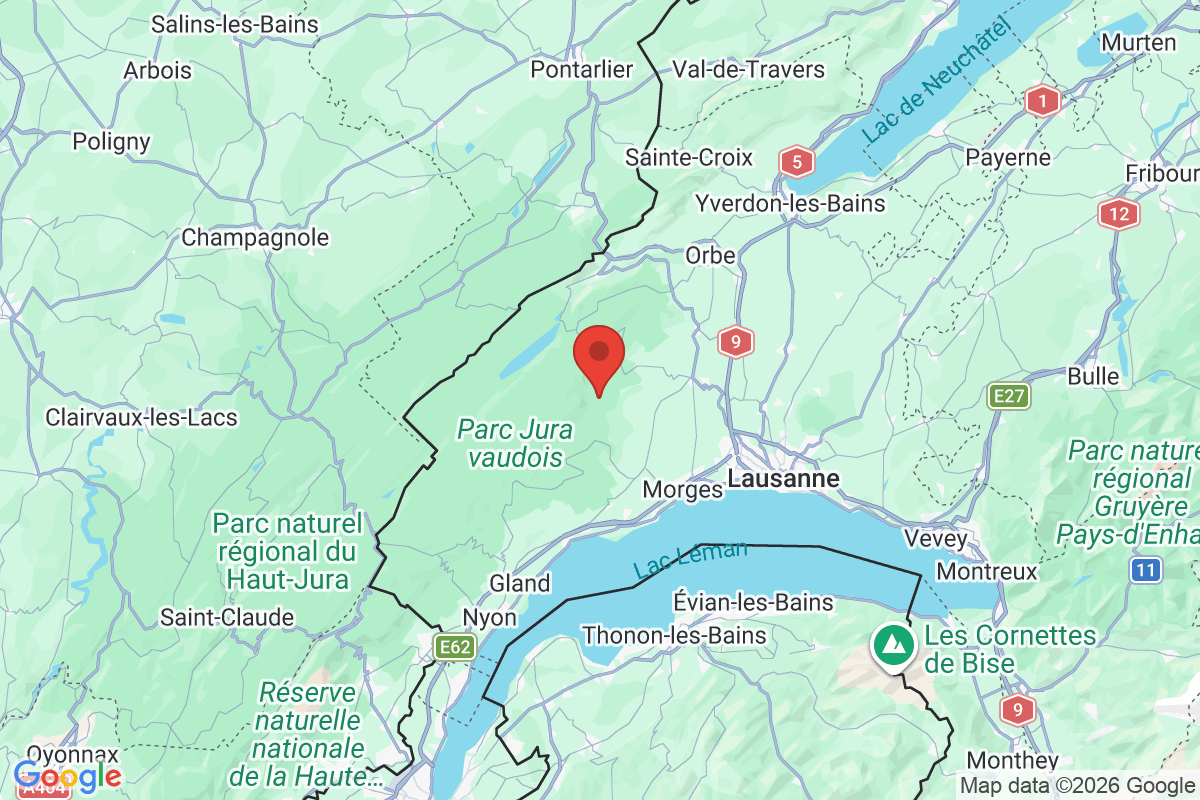 Prévisualisation de la carte