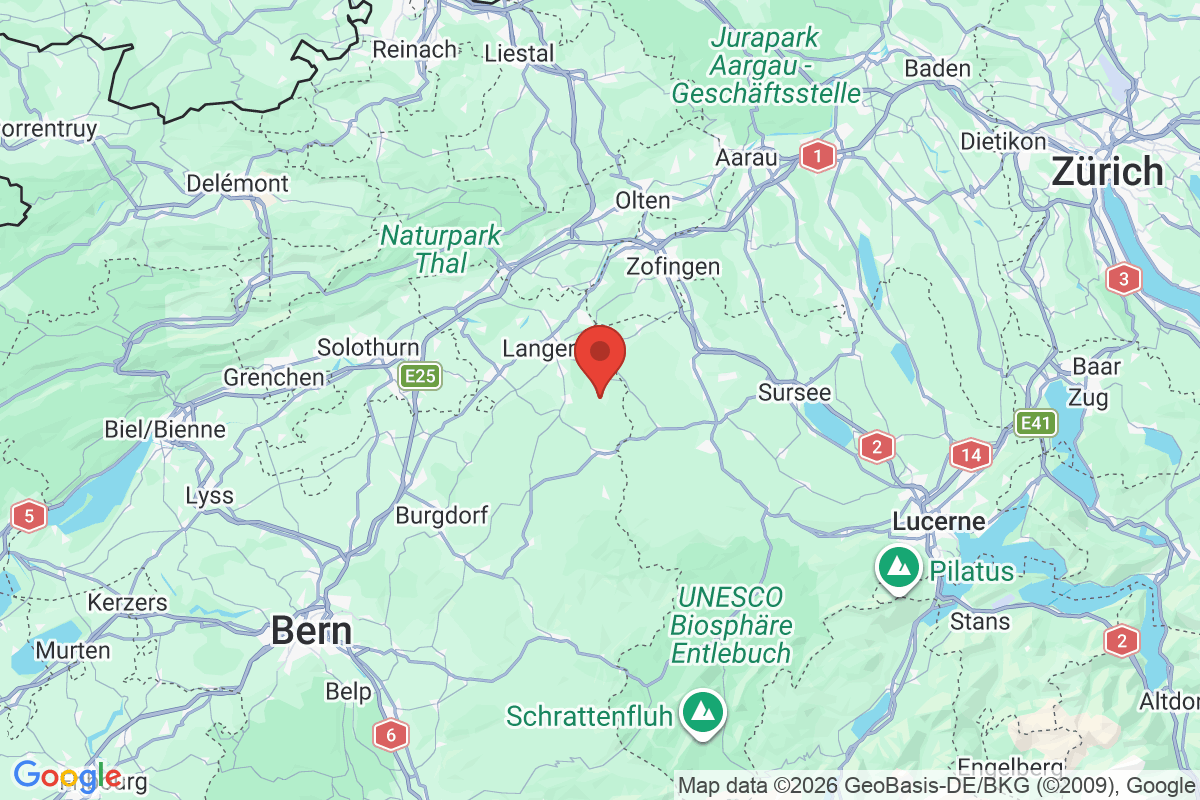 Prévisualisation de la carte