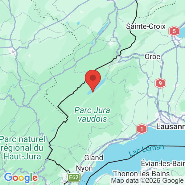 Prévisualisation de la carte