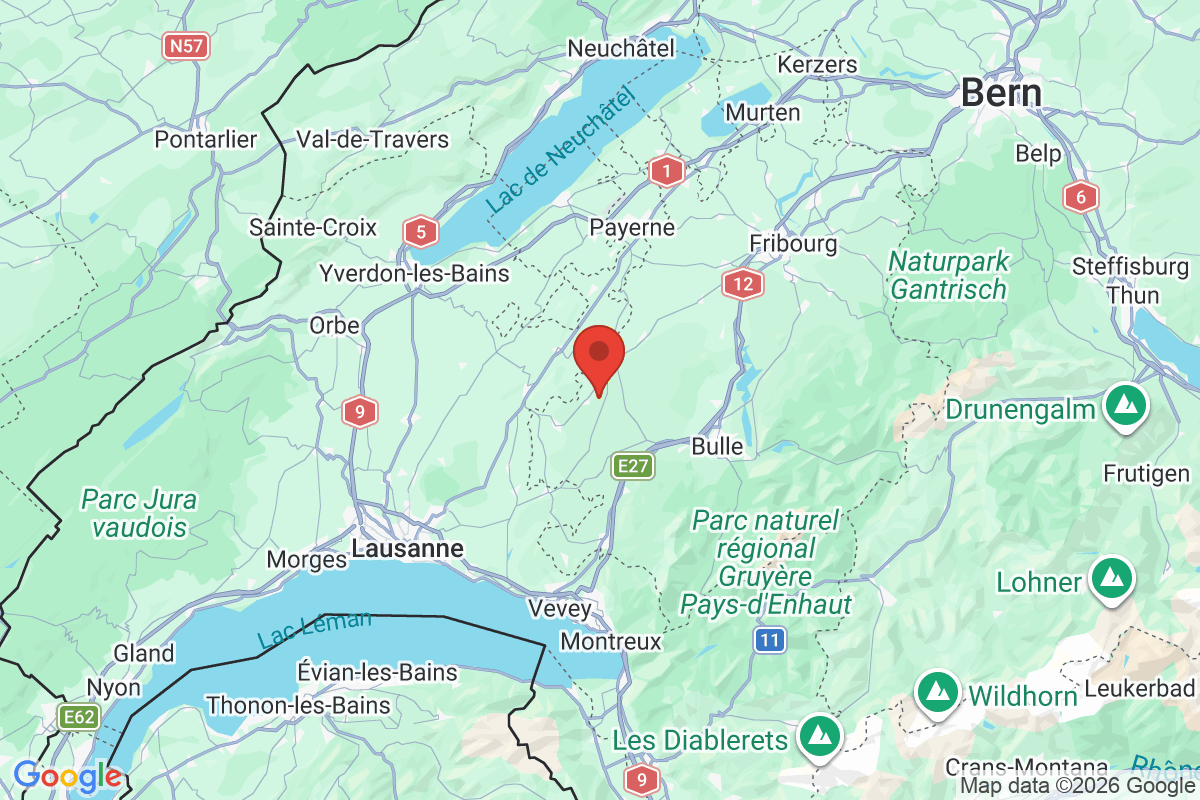 Prévisualisation de la carte