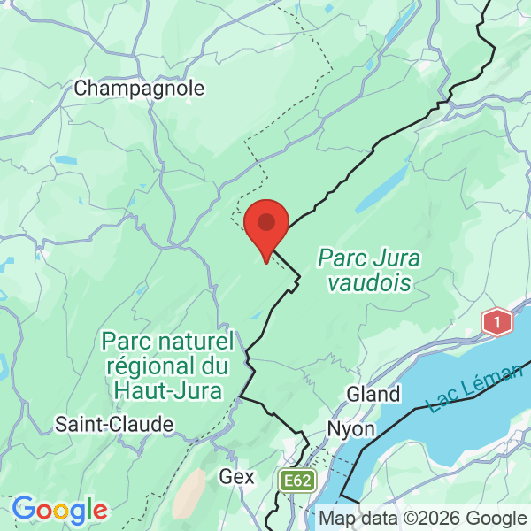 Prévisualisation de la carte