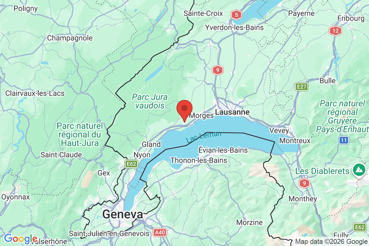 Prévisualisation de la carte