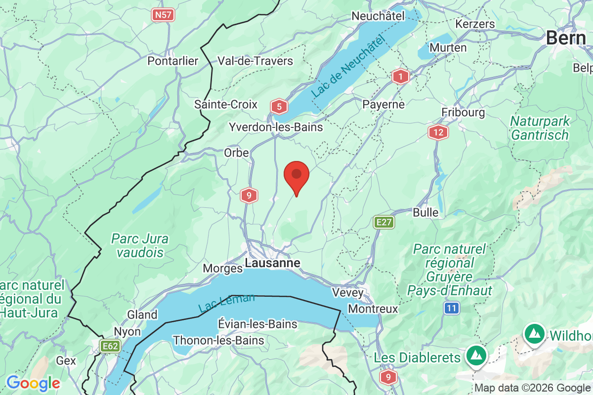 Prévisualisation de la carte