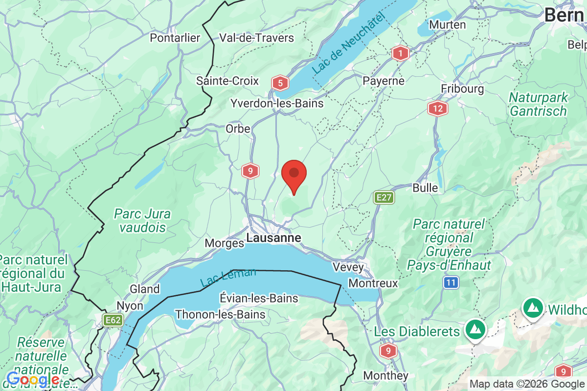 Prévisualisation de la carte