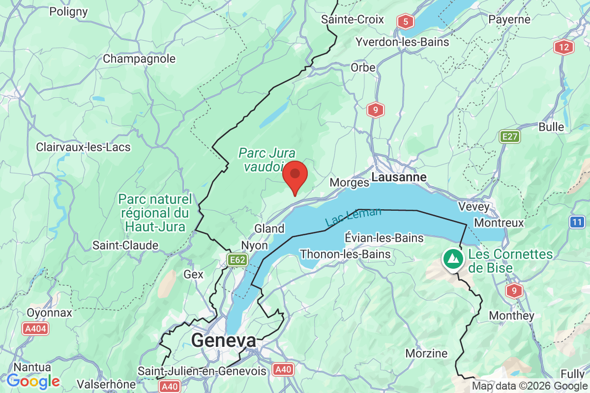 Prévisualisation de la carte