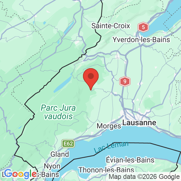 Prévisualisation de la carte