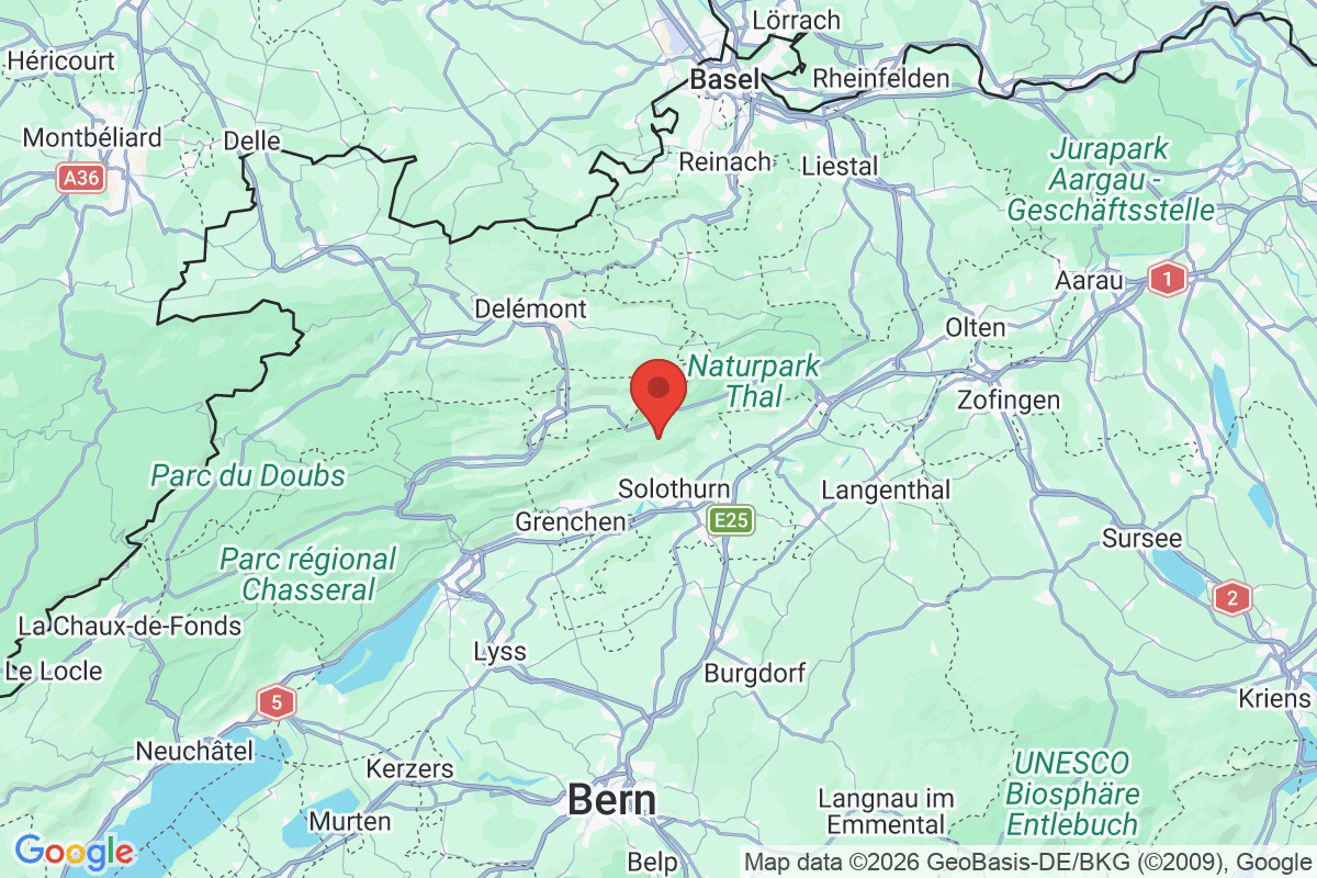 Prévisualisation de la carte