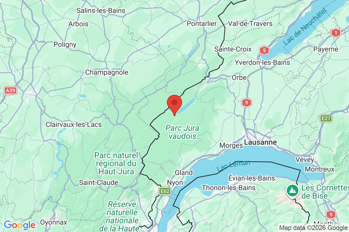 Prévisualisation de la carte