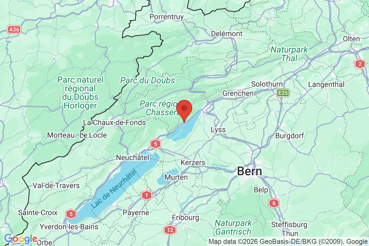 Prévisualisation de la carte