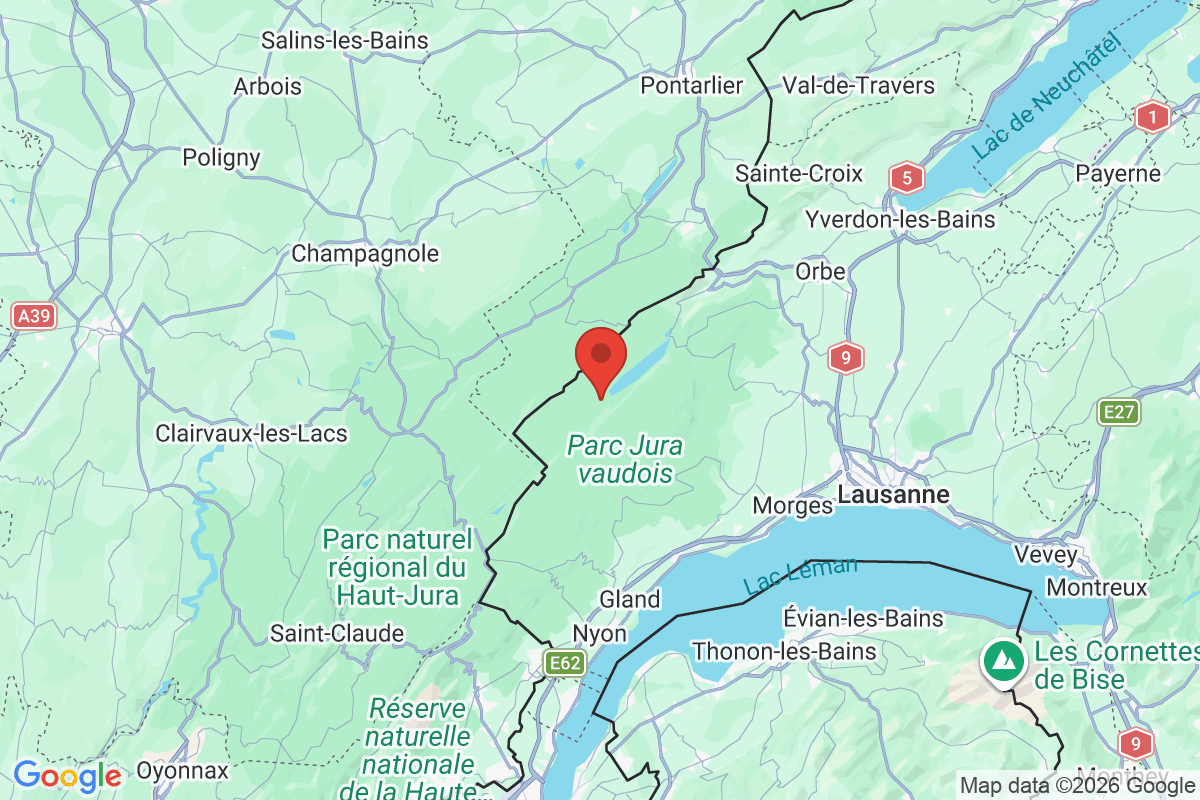 Prévisualisation de la carte