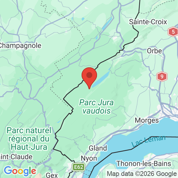 Prévisualisation de la carte