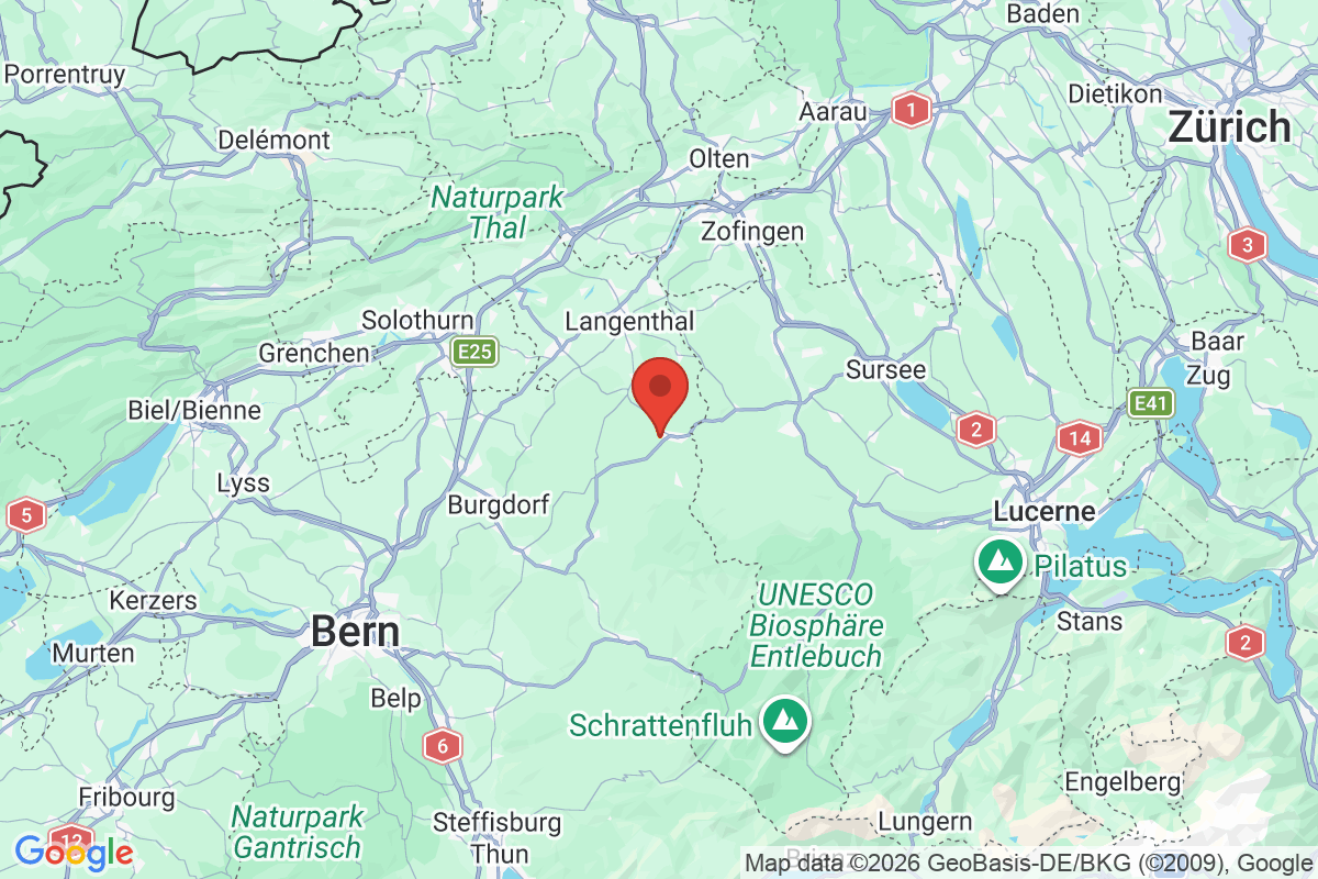 Prévisualisation de la carte