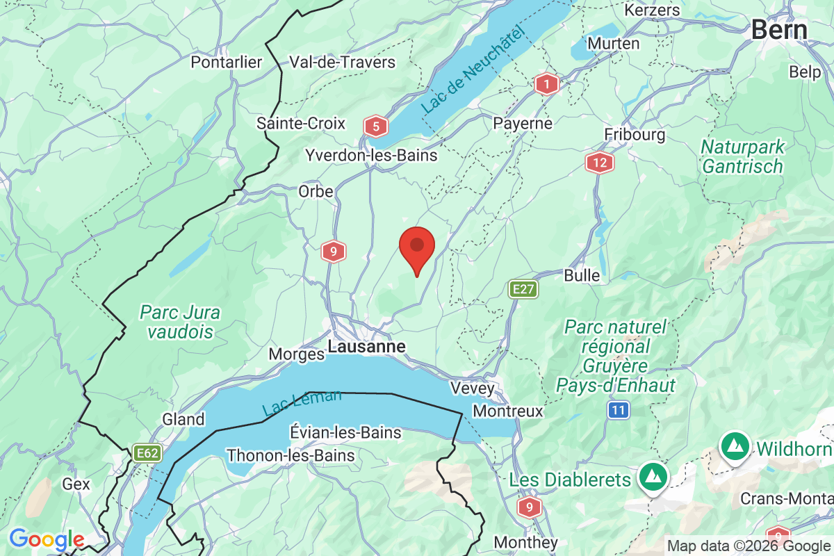Prévisualisation de la carte