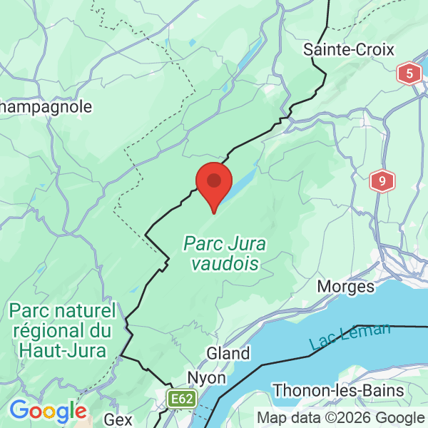 Prévisualisation de la carte