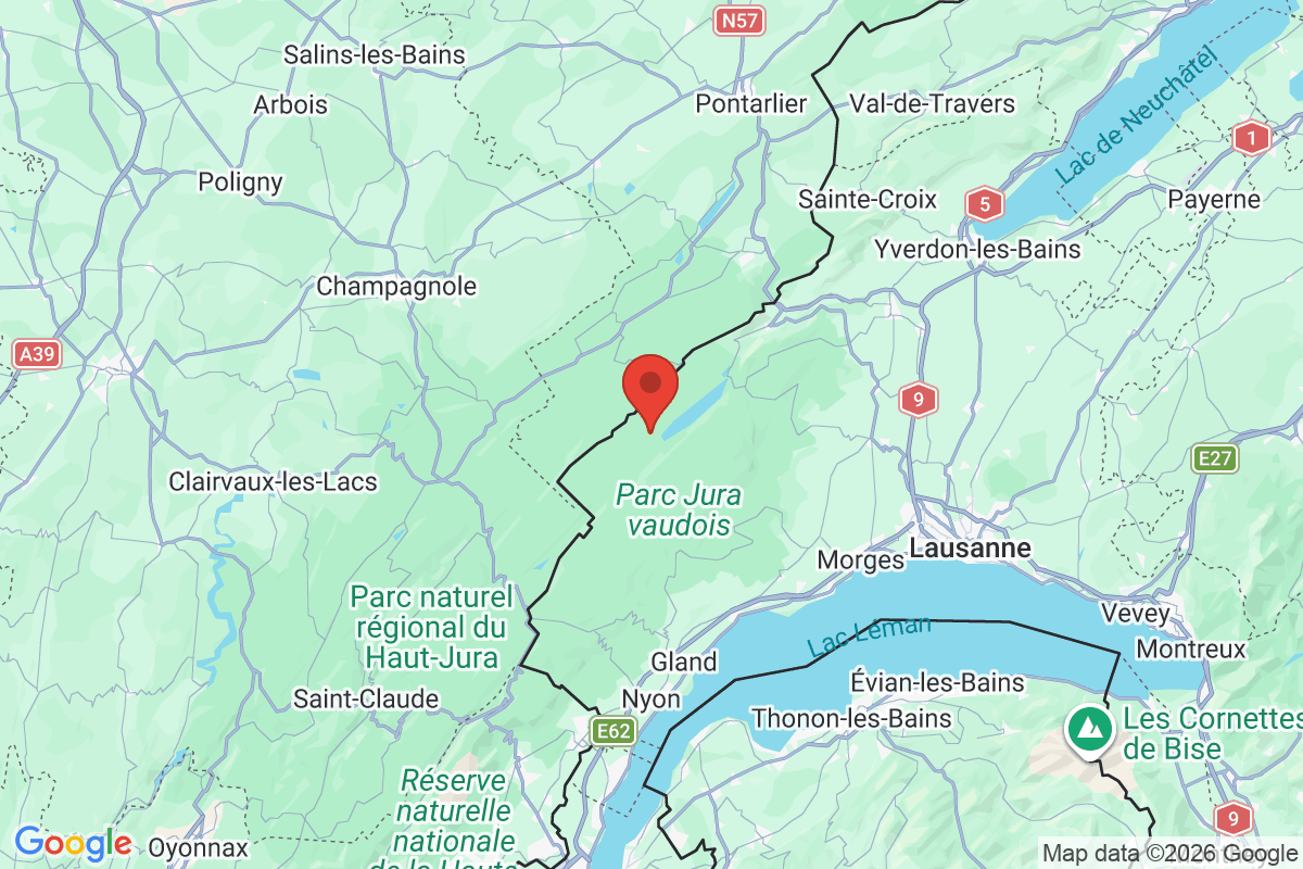Prévisualisation de la carte