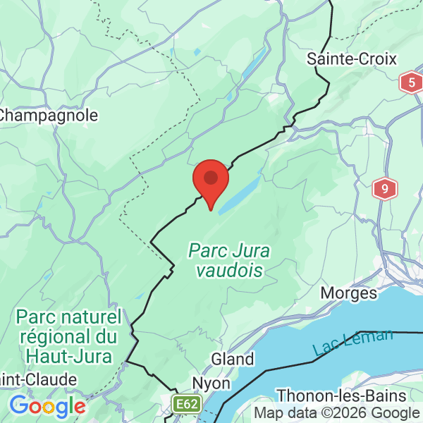 Prévisualisation de la carte