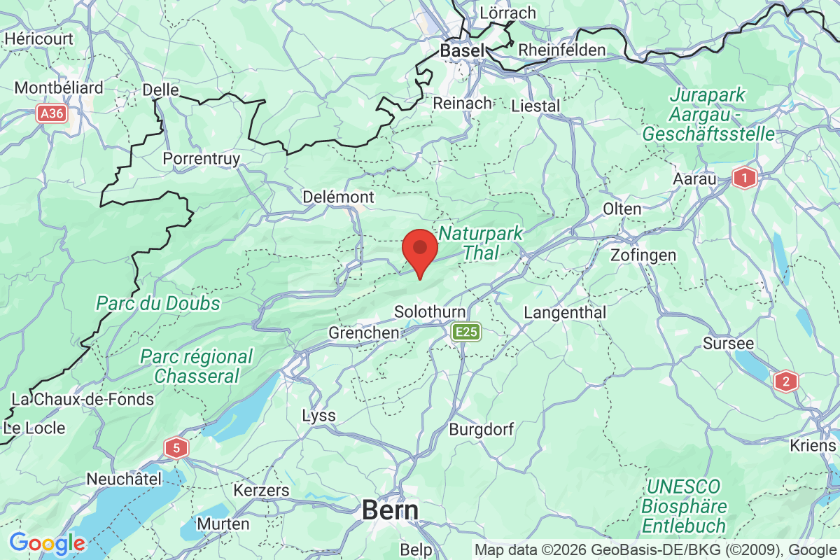 Prévisualisation de la carte