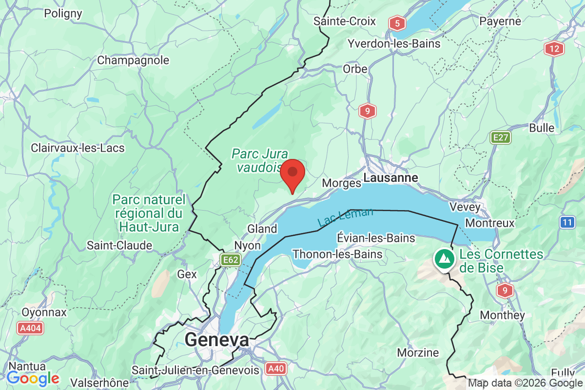 Prévisualisation de la carte