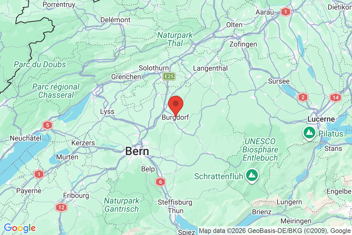 Prévisualisation de la carte