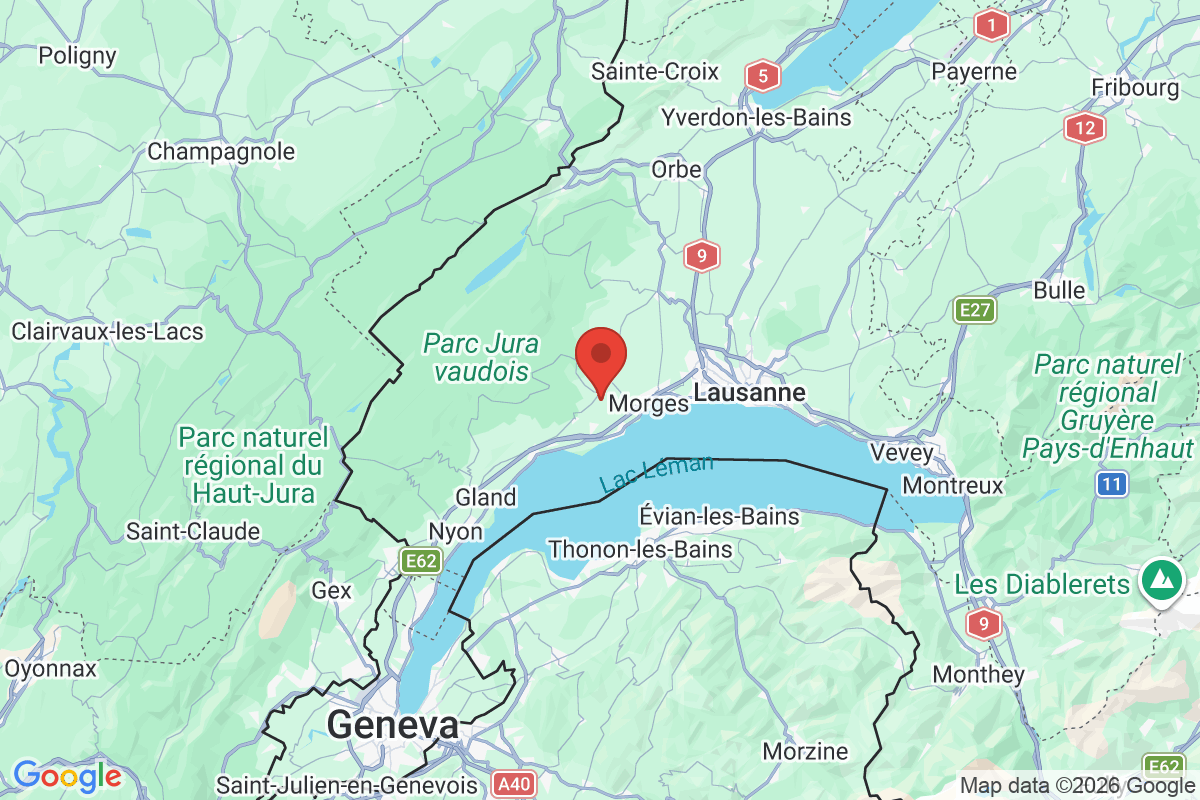 Prévisualisation de la carte