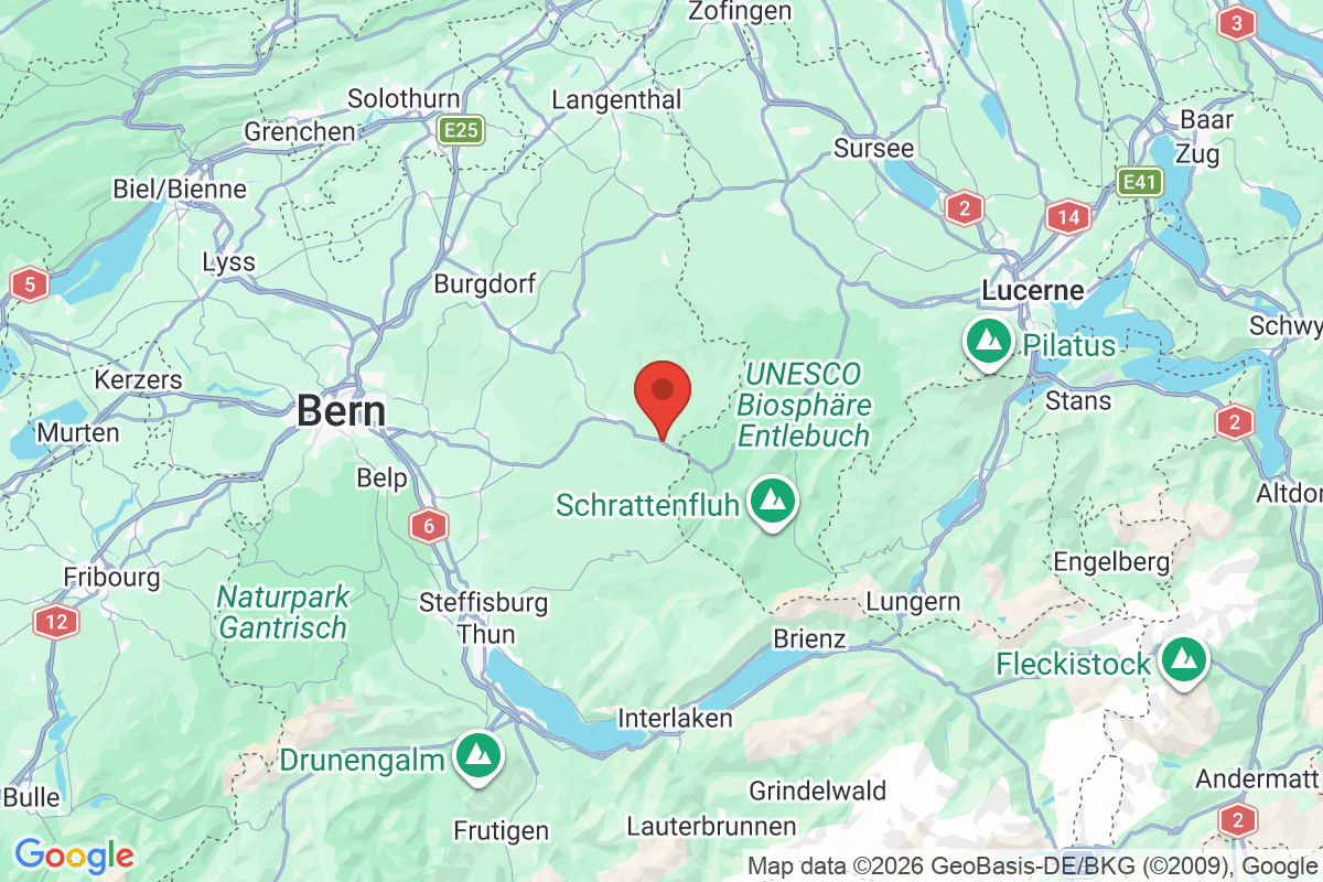 Prévisualisation de la carte