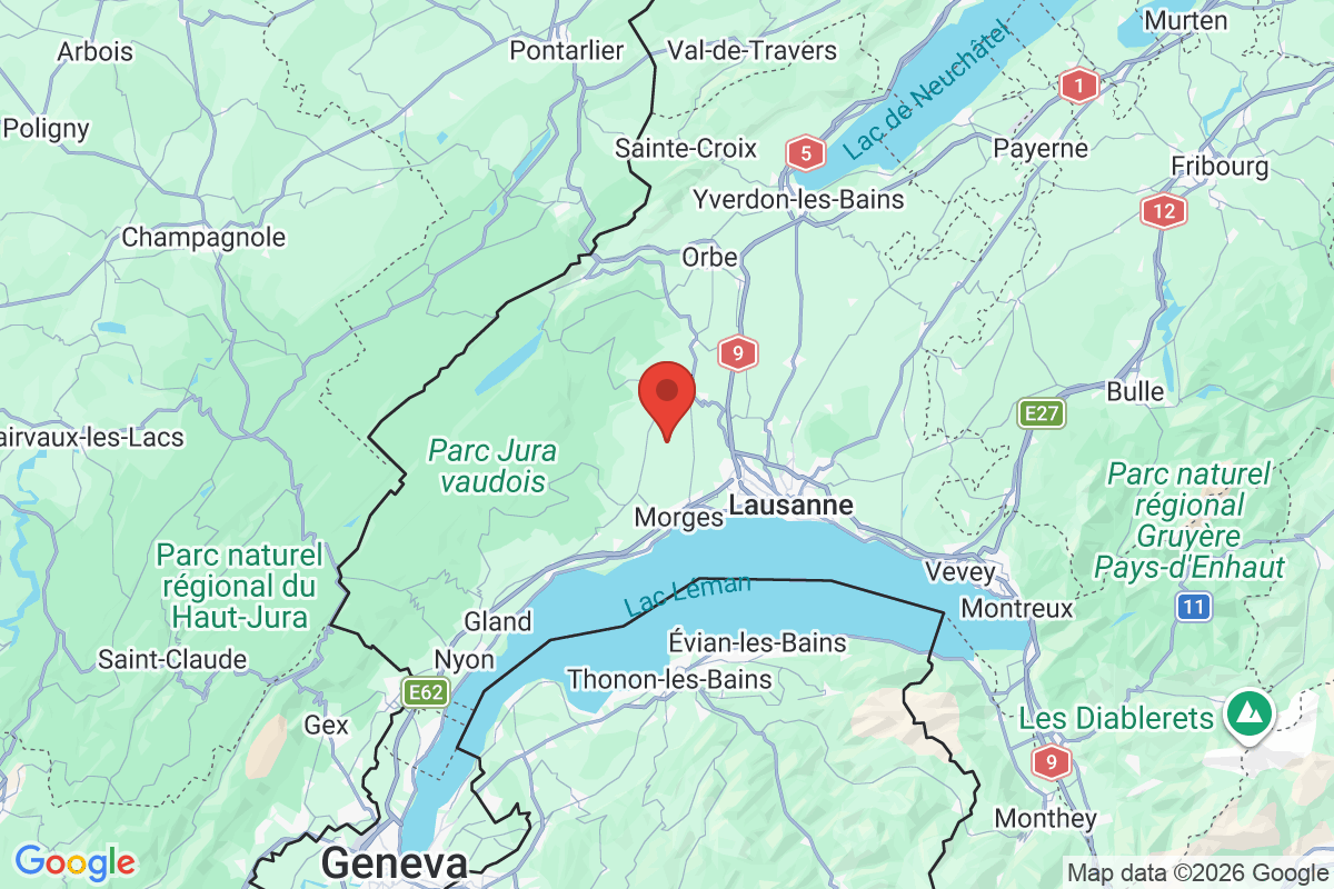 Prévisualisation de la carte