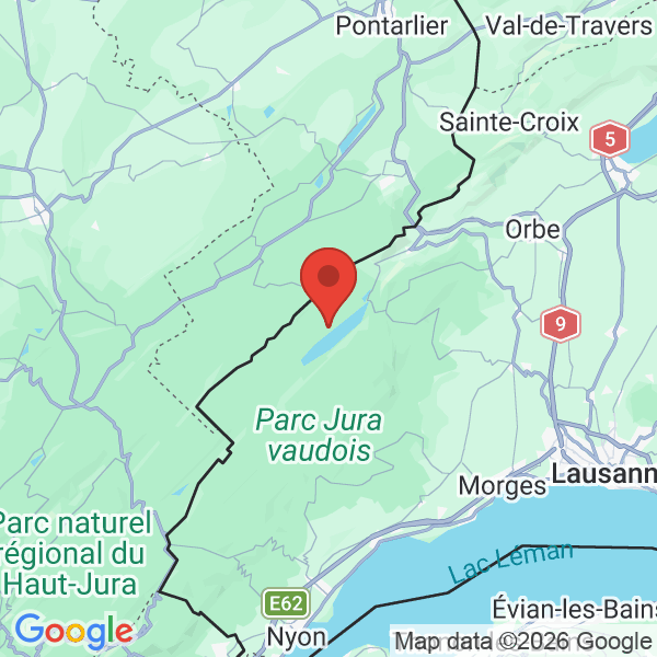 Prévisualisation de la carte