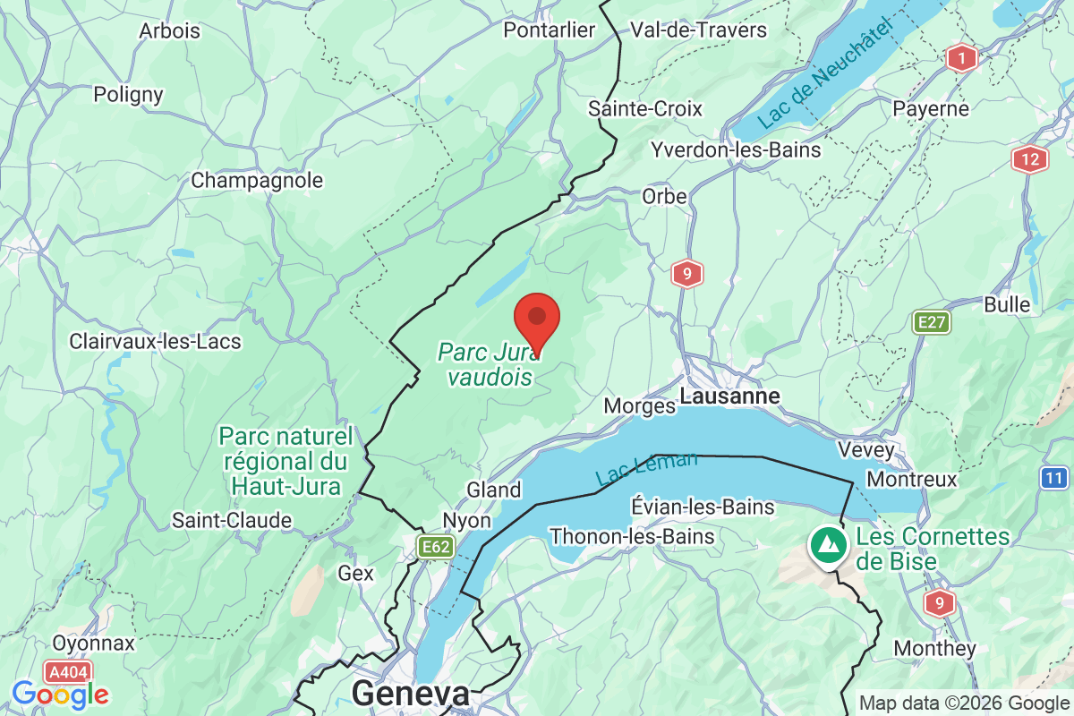 Prévisualisation de la carte