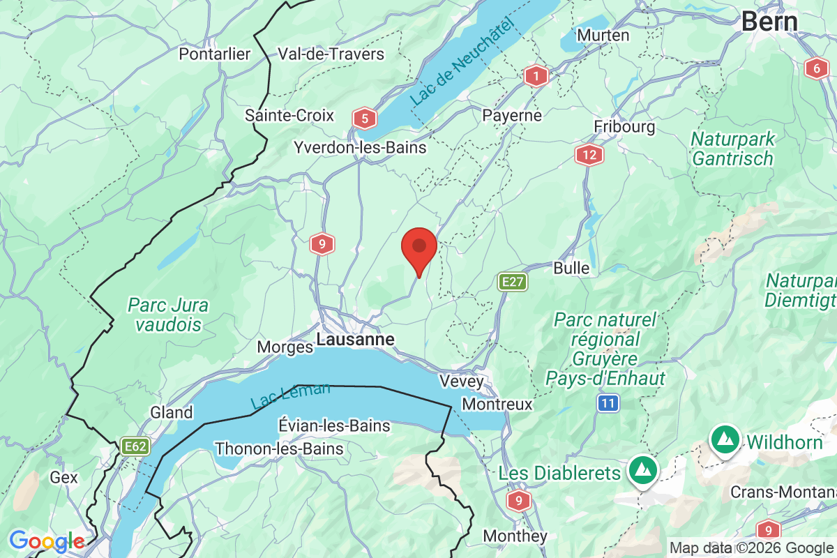 Prévisualisation de la carte