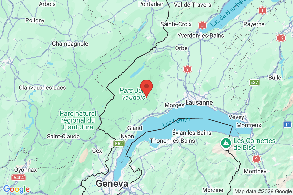 Prévisualisation de la carte