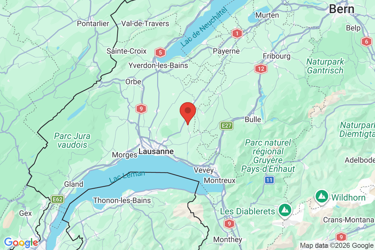 Prévisualisation de la carte