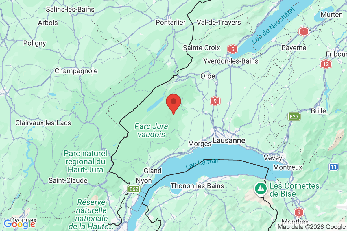 Prévisualisation de la carte