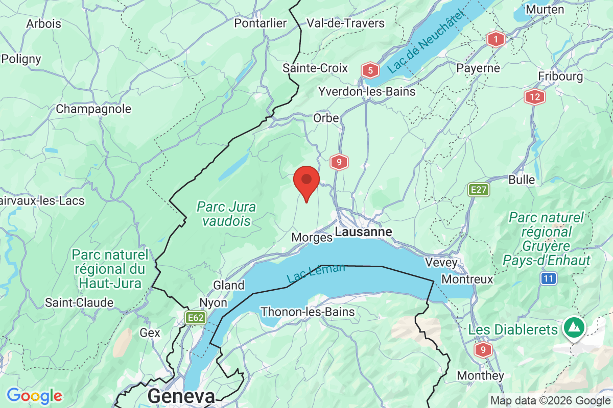 Prévisualisation de la carte