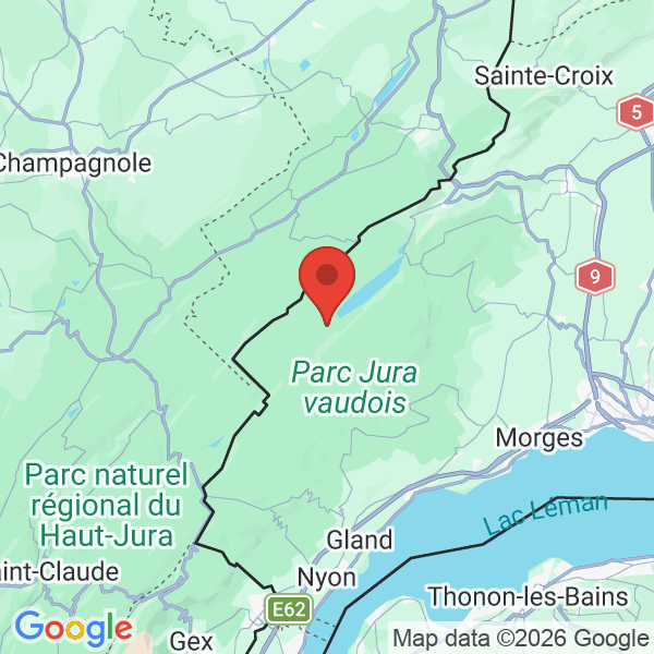 Prévisualisation de la carte