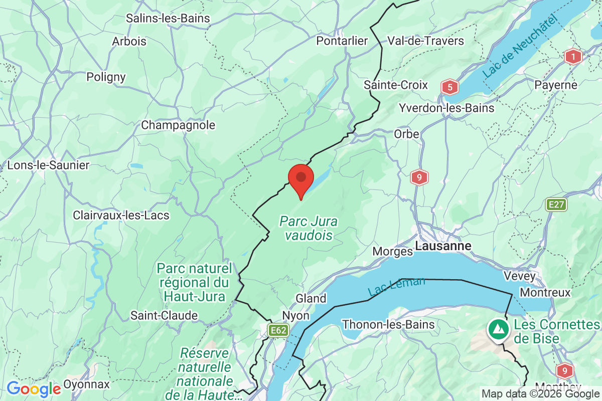 Prévisualisation de la carte