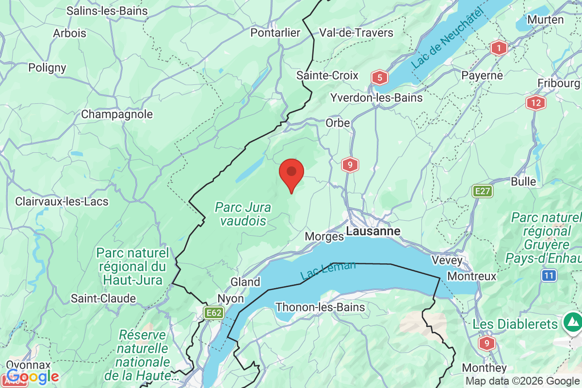 Prévisualisation de la carte