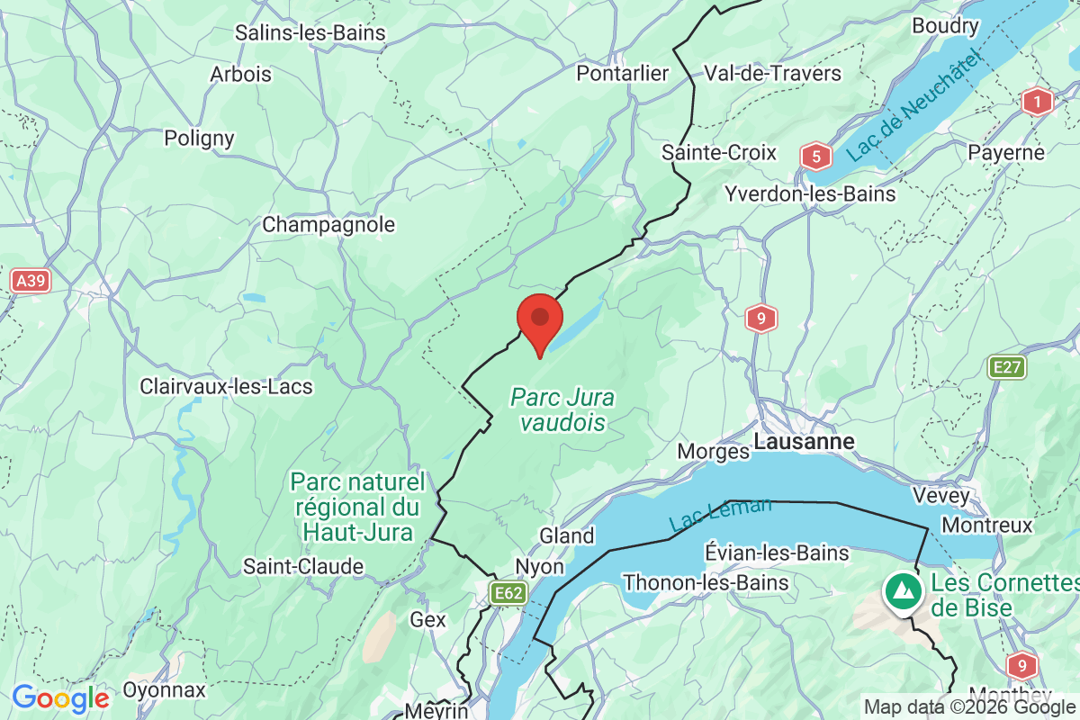 Prévisualisation de la carte
