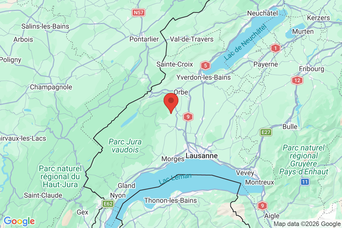 Prévisualisation de la carte