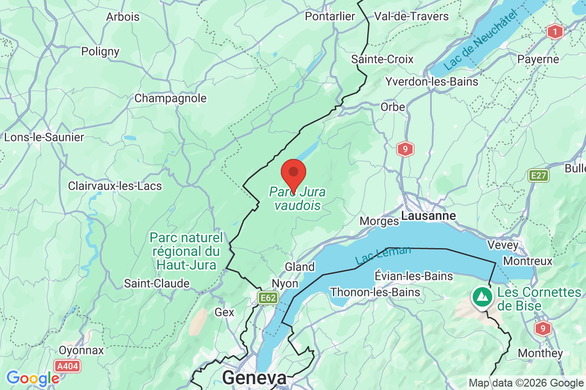 Prévisualisation de la carte