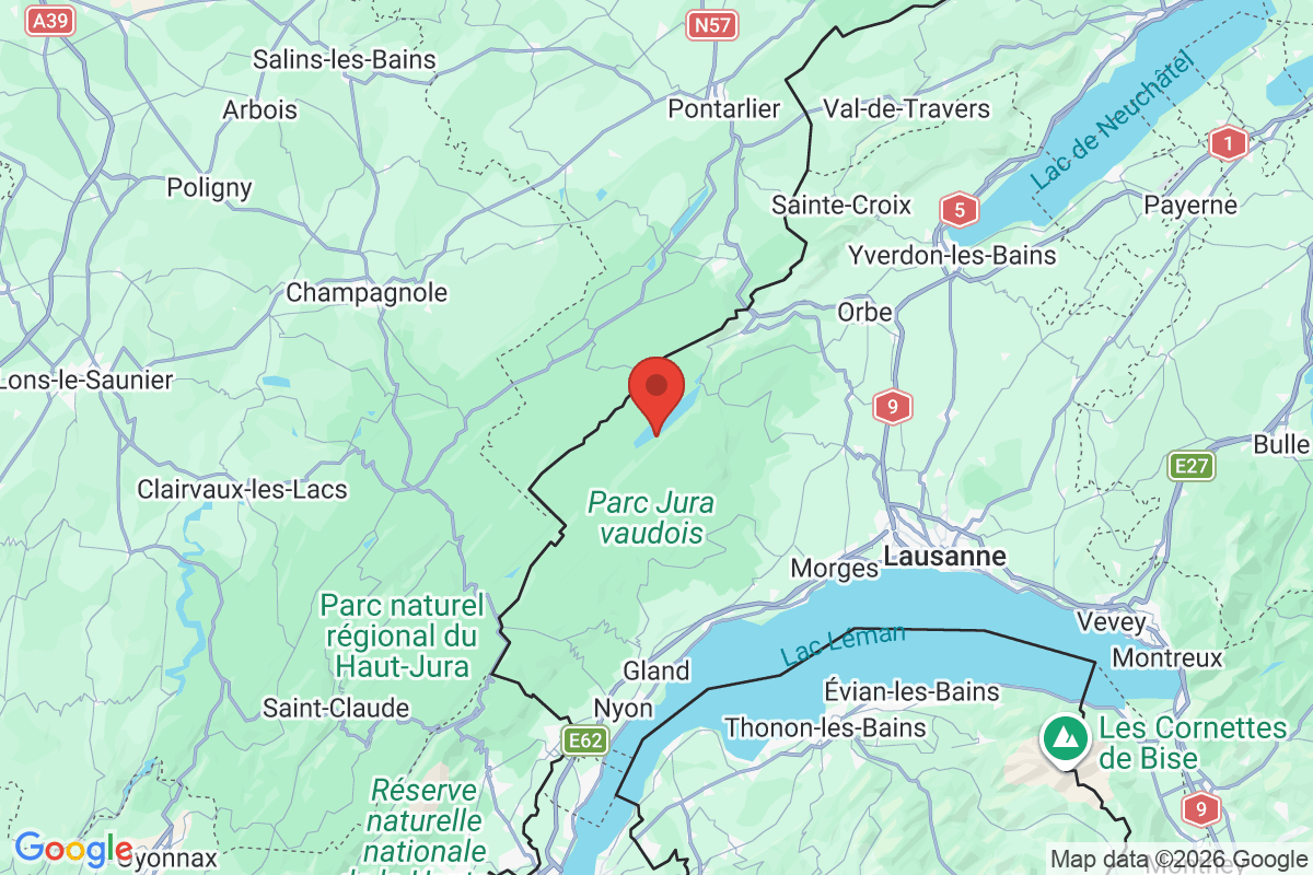 Prévisualisation de la carte