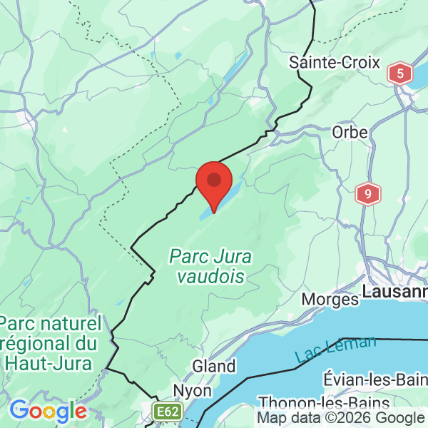 Prévisualisation de la carte