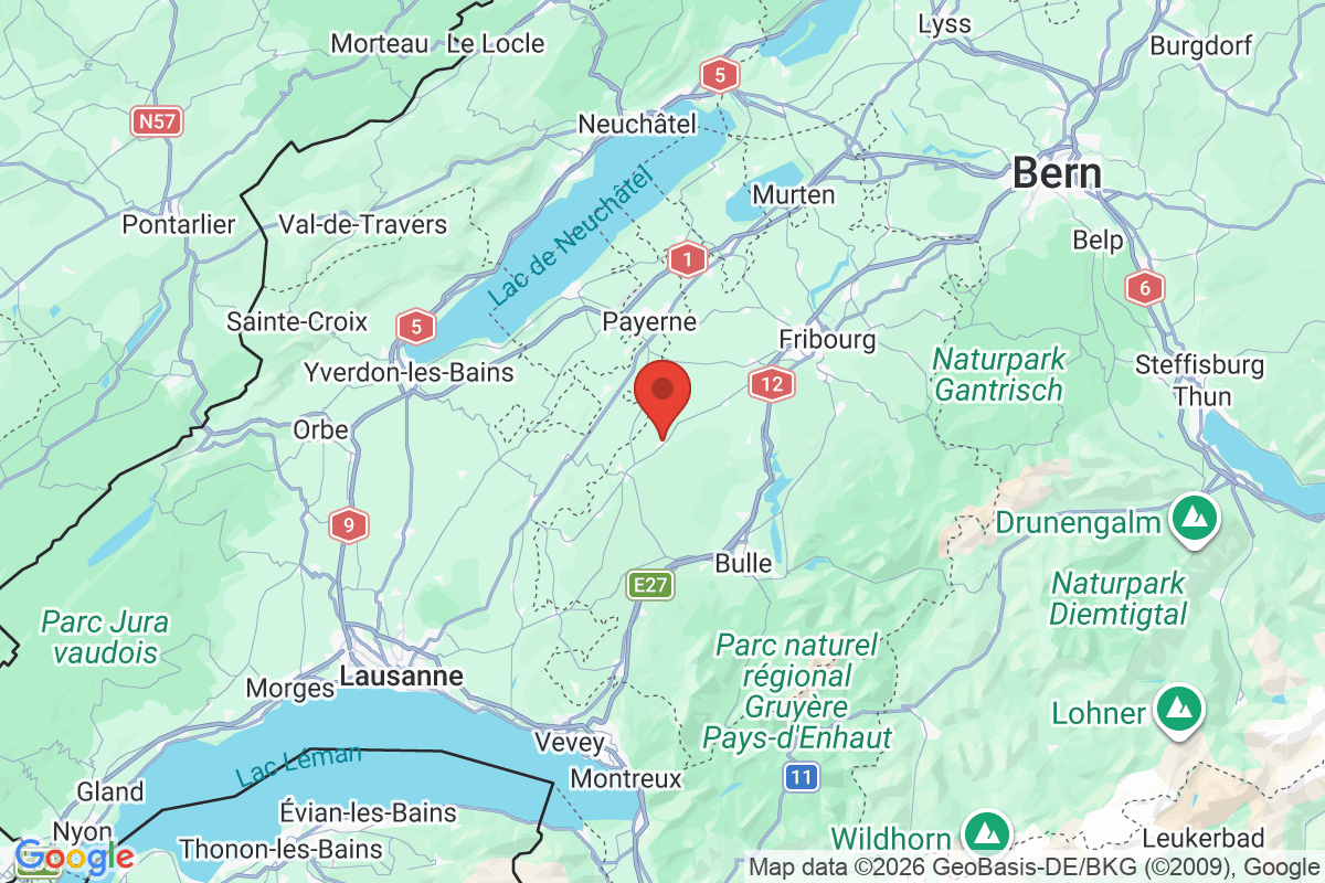 Prévisualisation de la carte