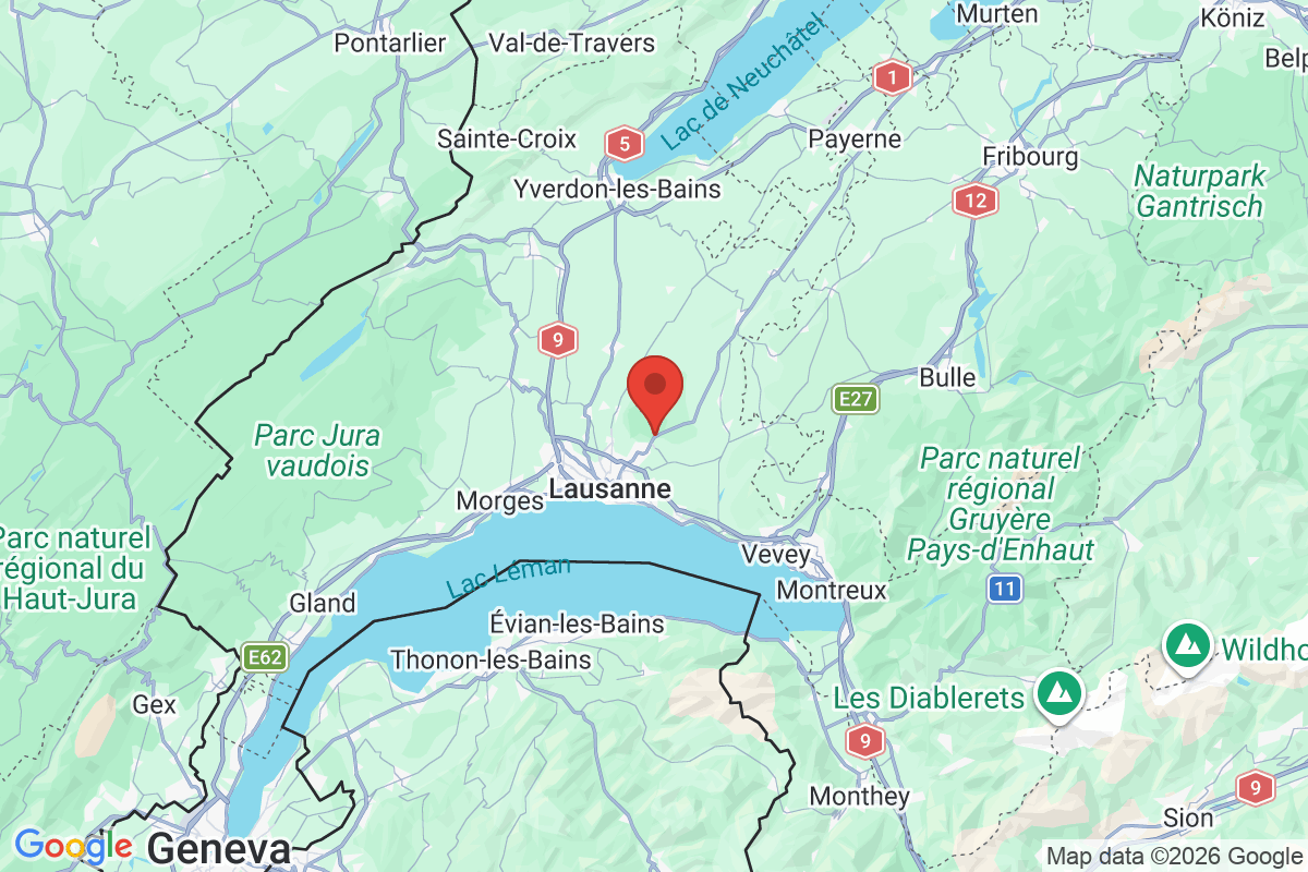 Prévisualisation de la carte