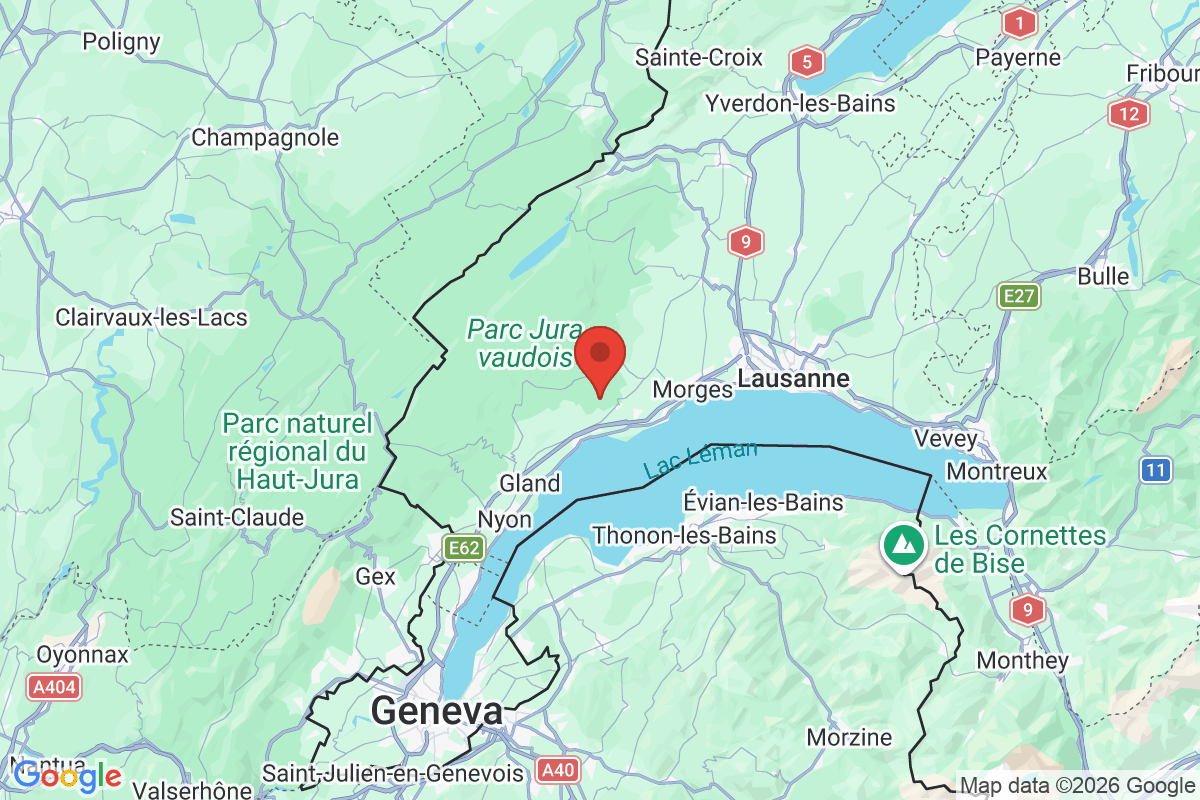 Prévisualisation de la carte